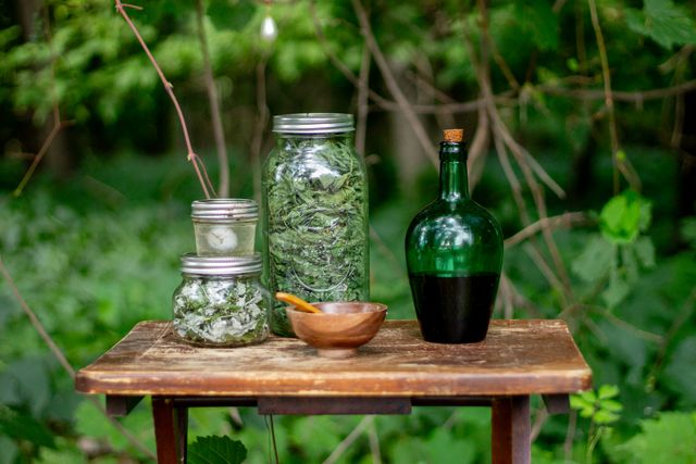 arbres-arbustes-plantes-medicinales arbres-arbustes-plantes-medicinales